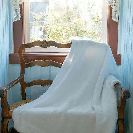 The Pearl Inn Bed And Breakfast Ilwaco Extérieur photo